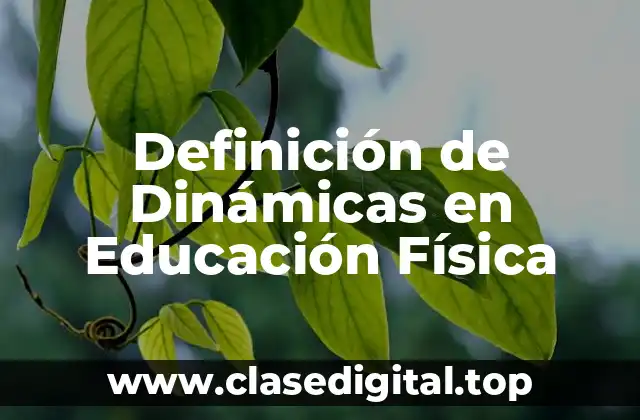 Definición de Dinámicas en Educación Física