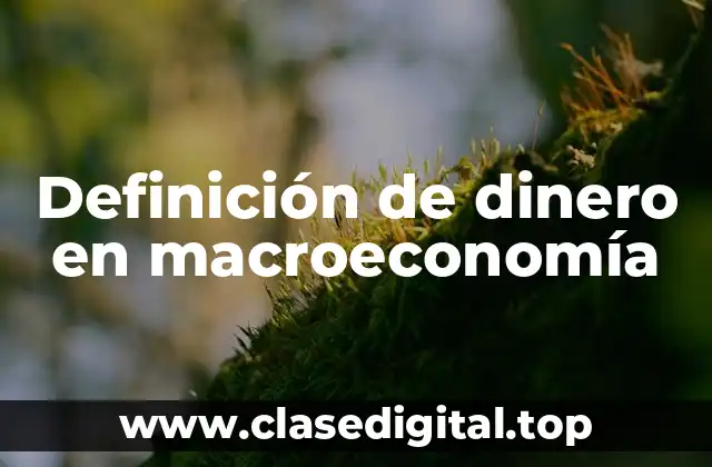 Definición de dinero en macroeconomía