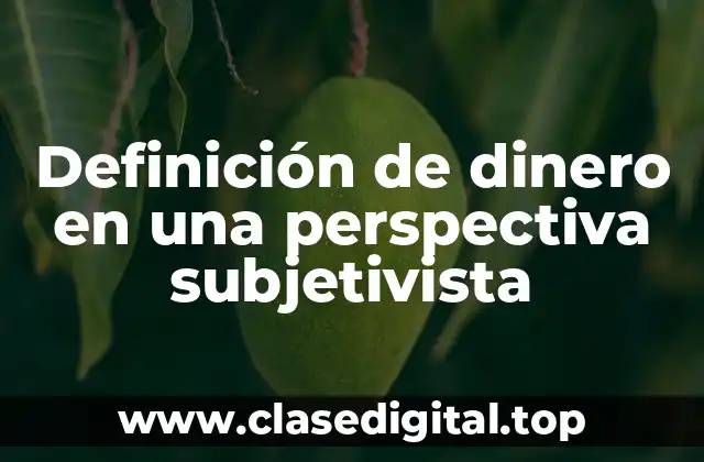 Definición de dinero en una perspectiva subjetivista