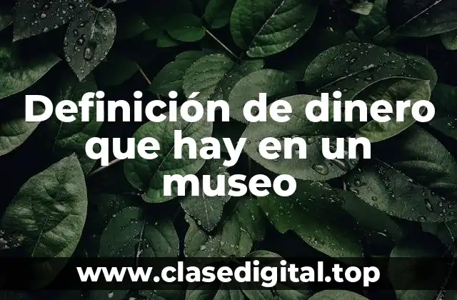 Definición de dinero que hay en un museo