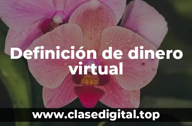 Definición de dinero virtual