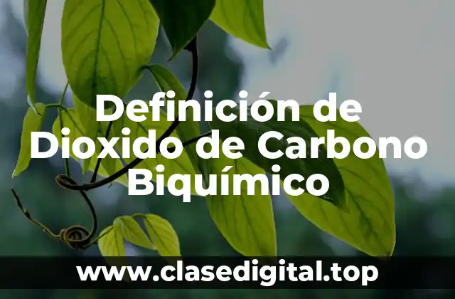 Definición de Dioxido de Carbono Biquímico