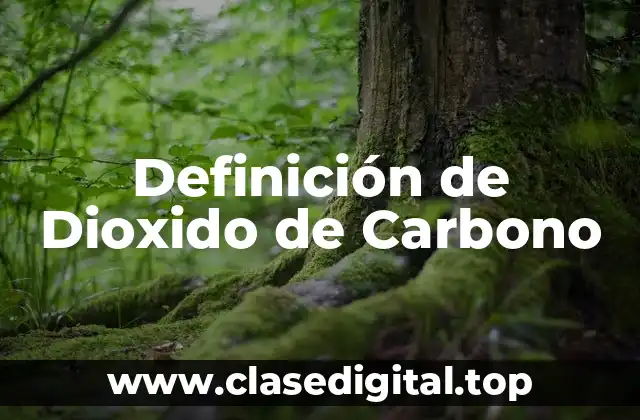 Ejemplos de Dioxido de Carbono