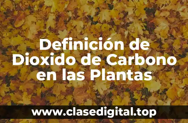 Definición de Dioxido de Carbono en las Plantas