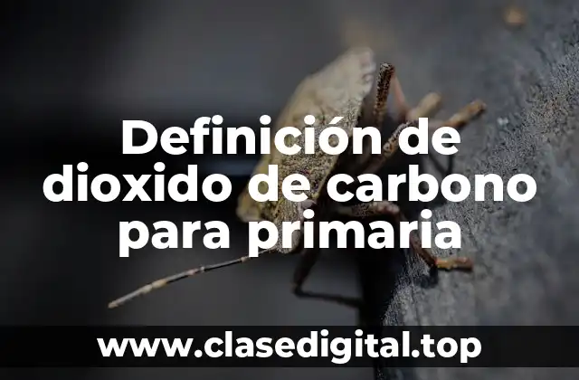 Definición de dioxido de carbono para primaria