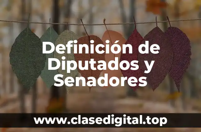 Definición de Diputados y Senadores