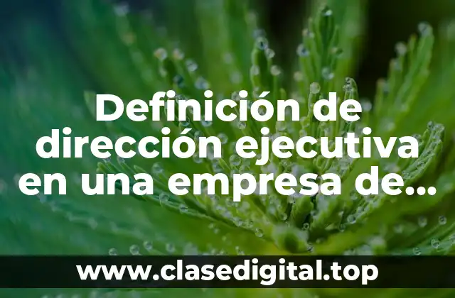 Ejemplos de dirección ejecutiva en una empresa de sistemas de información