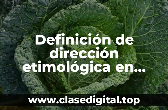 Definición de dirección etimológica en administración