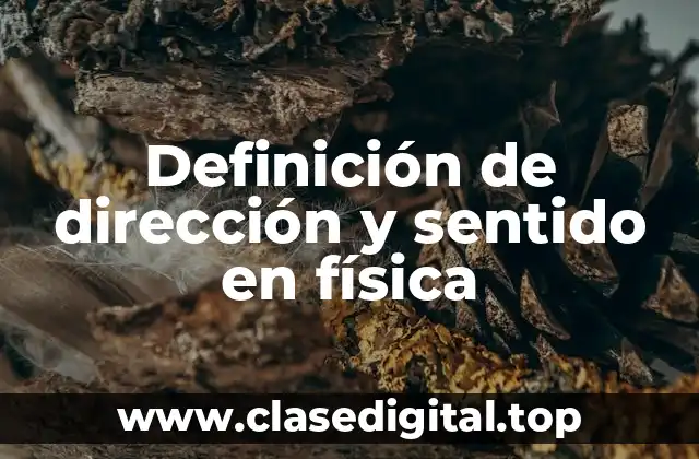 Definición de dirección y sentido en física