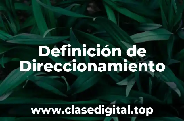 Definición de Direccionamiento