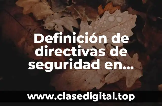 Definición de directivas de seguridad en programación