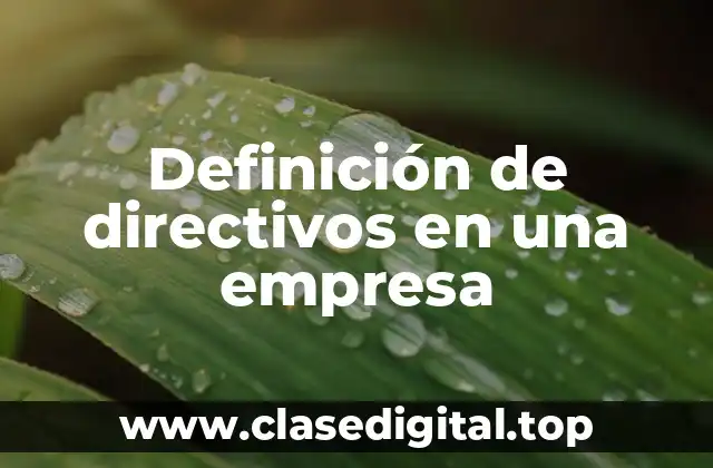 Definición de directivos en una empresa