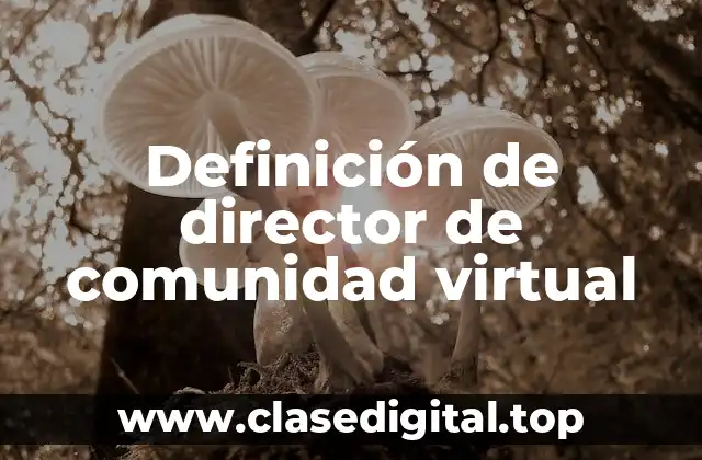 Definición de director de comunidad virtual