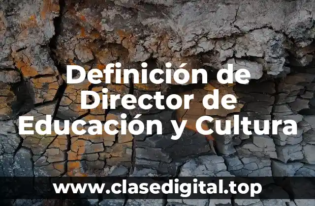 Definición de Director de Educación y Cultura
