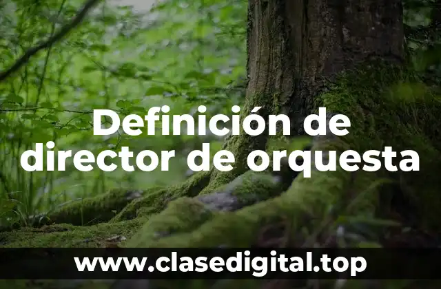 Definición de director de orquesta