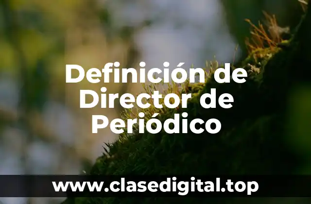 Definición de Director de Periódico