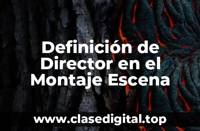 Definición de Director en el Montaje Escena