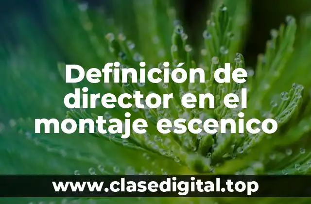 Definición de director en el montaje escenico