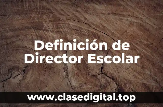 Definición técnica de Director Escolar
