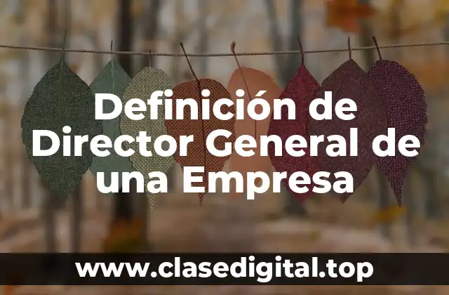Definición de Director General de una Empresa