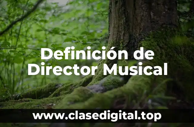 Definición de Director Musical