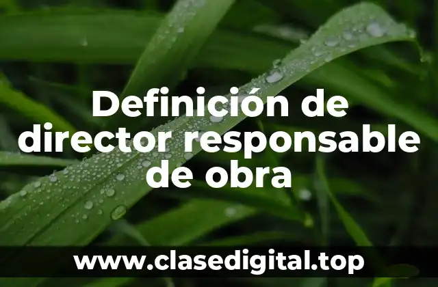 Definición de director responsable de obra