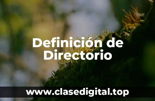 Definición técnica de Directorio
