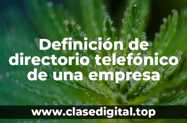 Definición de directorio telefónico de una empresa