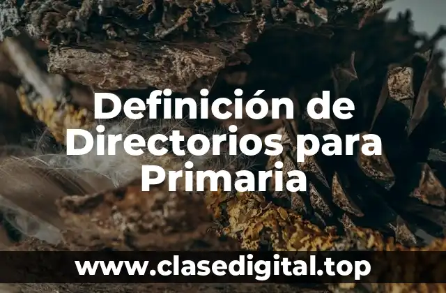 Ejemplos de directorios para primaria