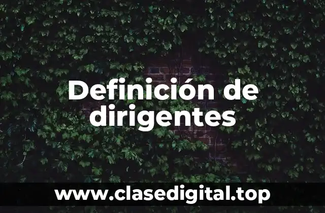 Definición de dirigentes