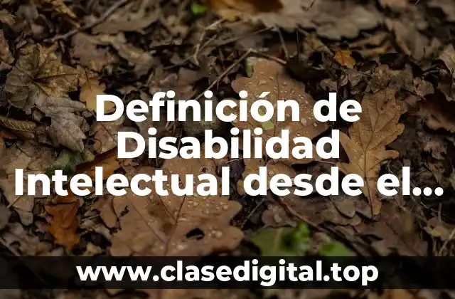 Definición de Disabilidad Intelectual desde el Modelo Social