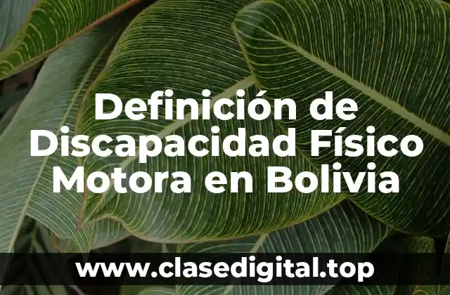 Definición de Discapacidad Físico Motora en Bolivia