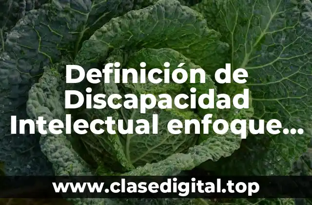 Definición de Discapacidad Intelectual enfoque Psicológico
