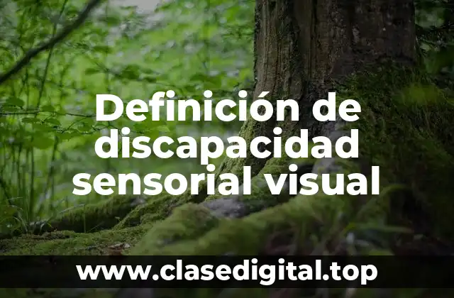 Definición de discapacidad sensorial visual