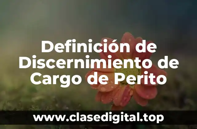 Definición de Discernimiento de Cargo de Perito