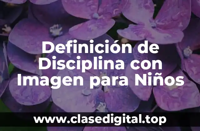 Definición de Disciplina con Imagen para Niños