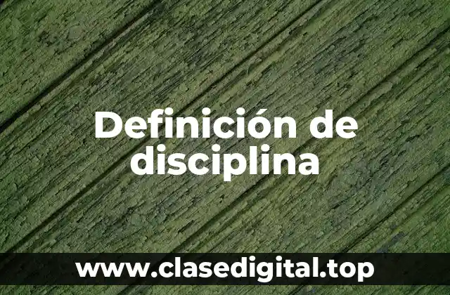 Definición de disciplina