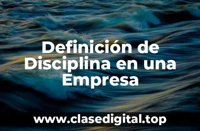 Definición Técnica de Disciplina en una Empresa