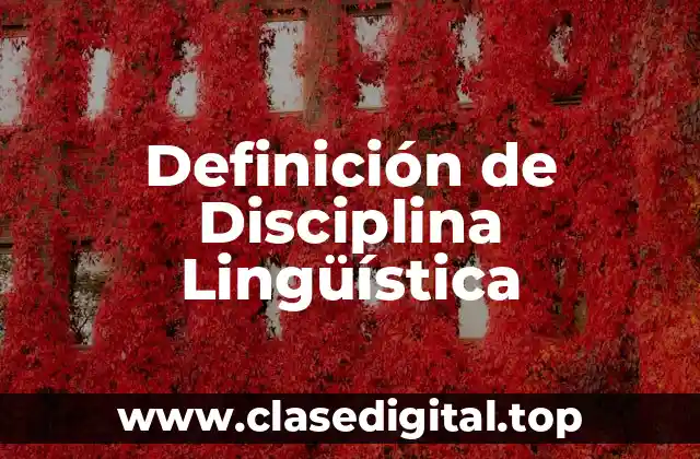 Definición de Disciplina Lingüística