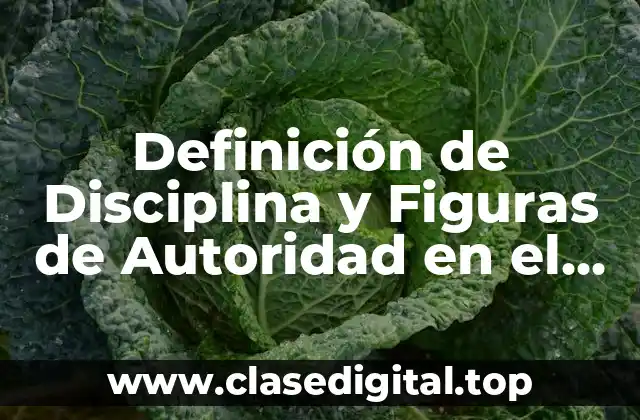 Definición de Disciplina y Figuras de Autoridad en el Parque