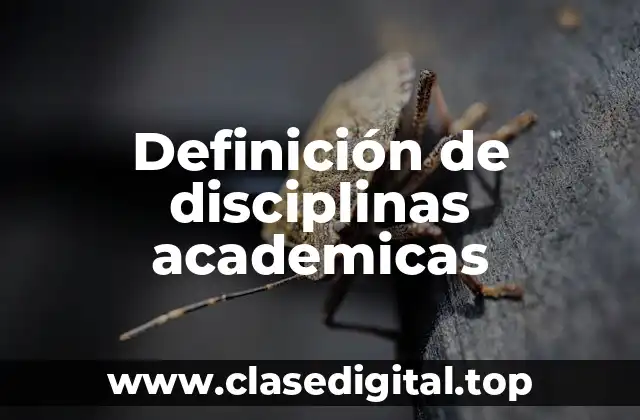 Definición de disciplinas academicas