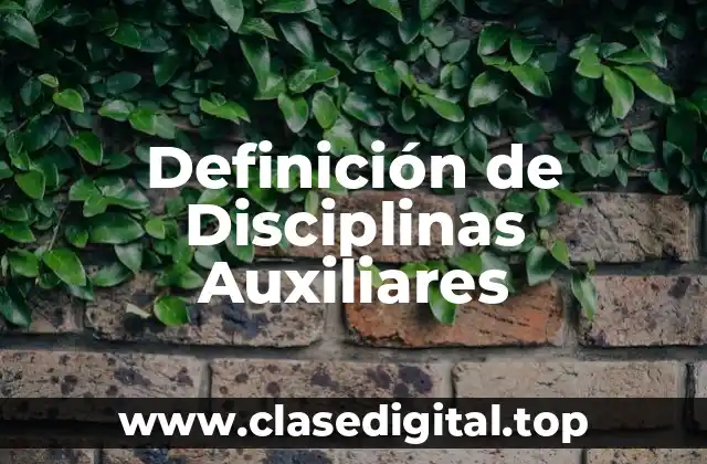 Definición de Disciplinas Auxiliares