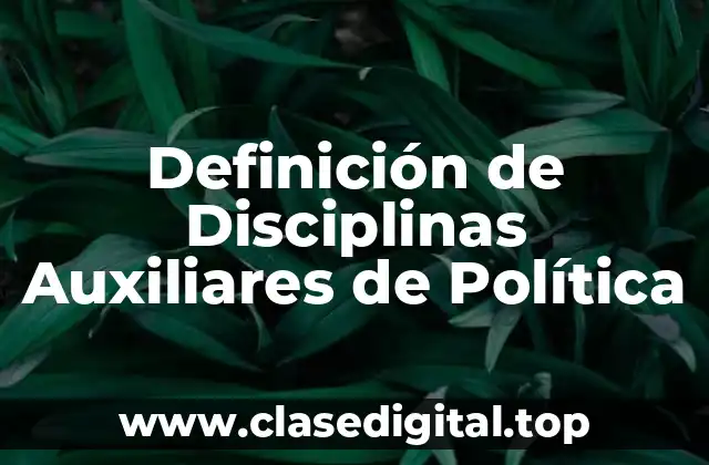 Definición técnica de Disciplinas Auxiliares de Política