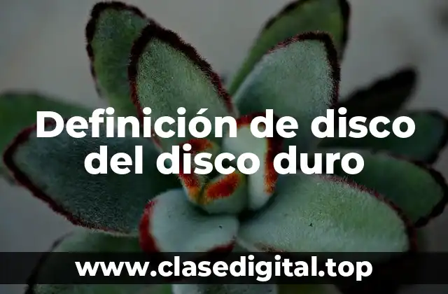 Definición de disco del disco duro