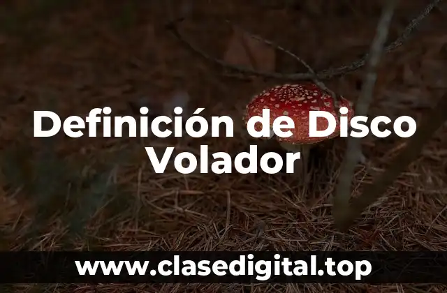 Definición de Disco Volador