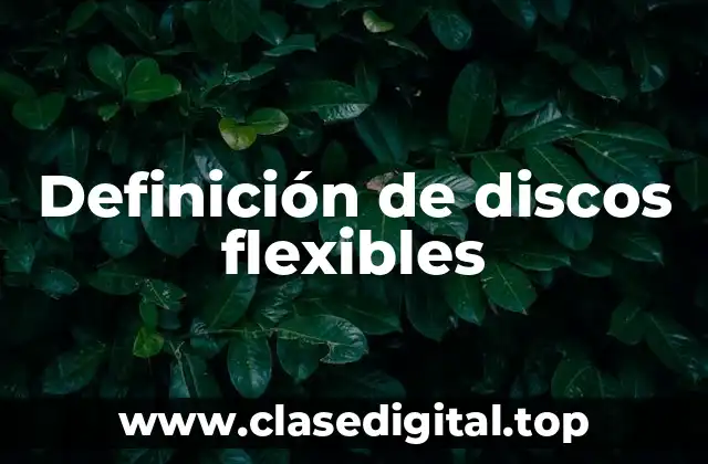 Definición de discos flexibles