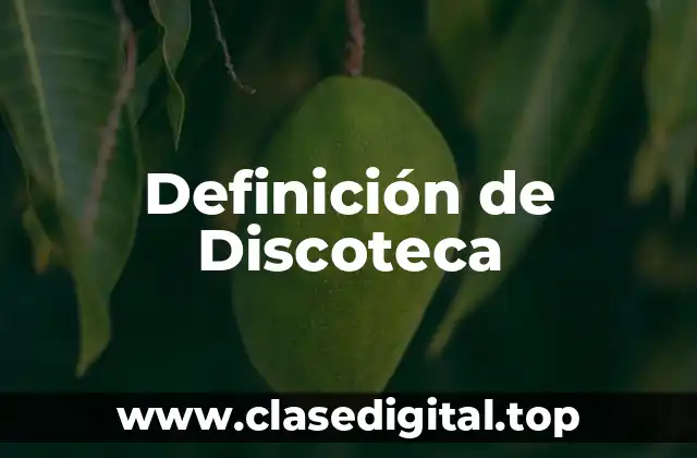 Definición de Discoteca