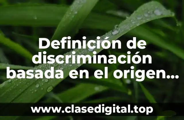 Definición de discriminación basada en el origen étnico