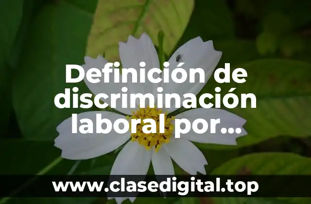 Definición de discriminación laboral por orientación sexual