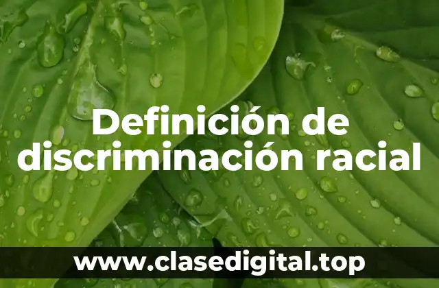 Definición de discriminación racial